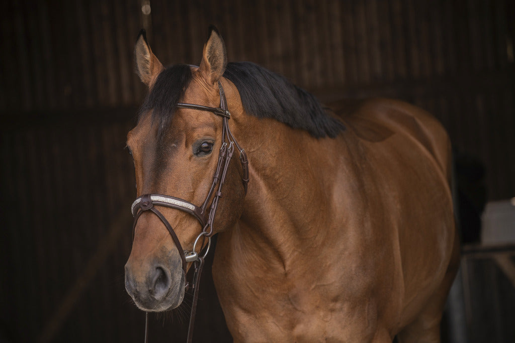 Bridon Symphonie - PENELOPE COLLECTION