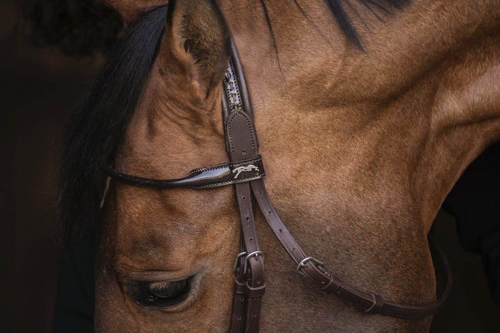 Bridon Symphonie - PENELOPE COLLECTION