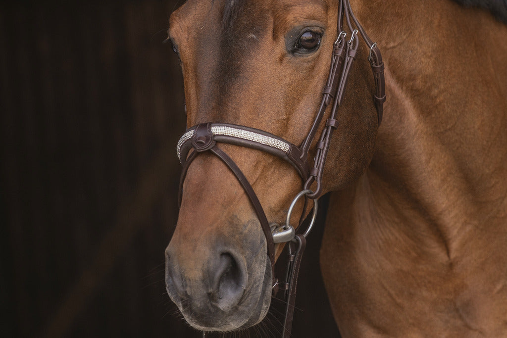 Bridon Symphonie - PENELOPE COLLECTION