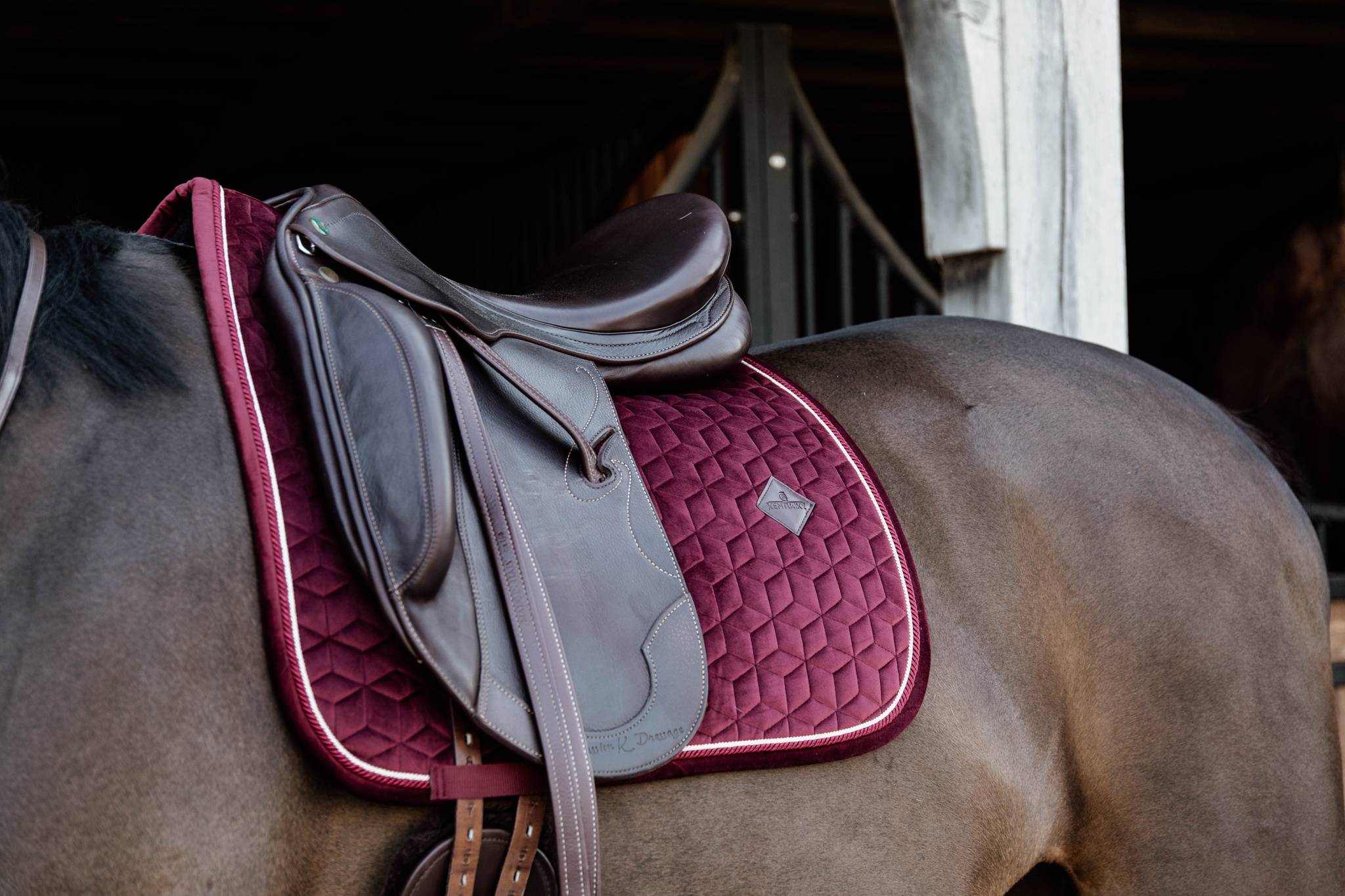 Burgundy Velvet Rug - Kentucky
