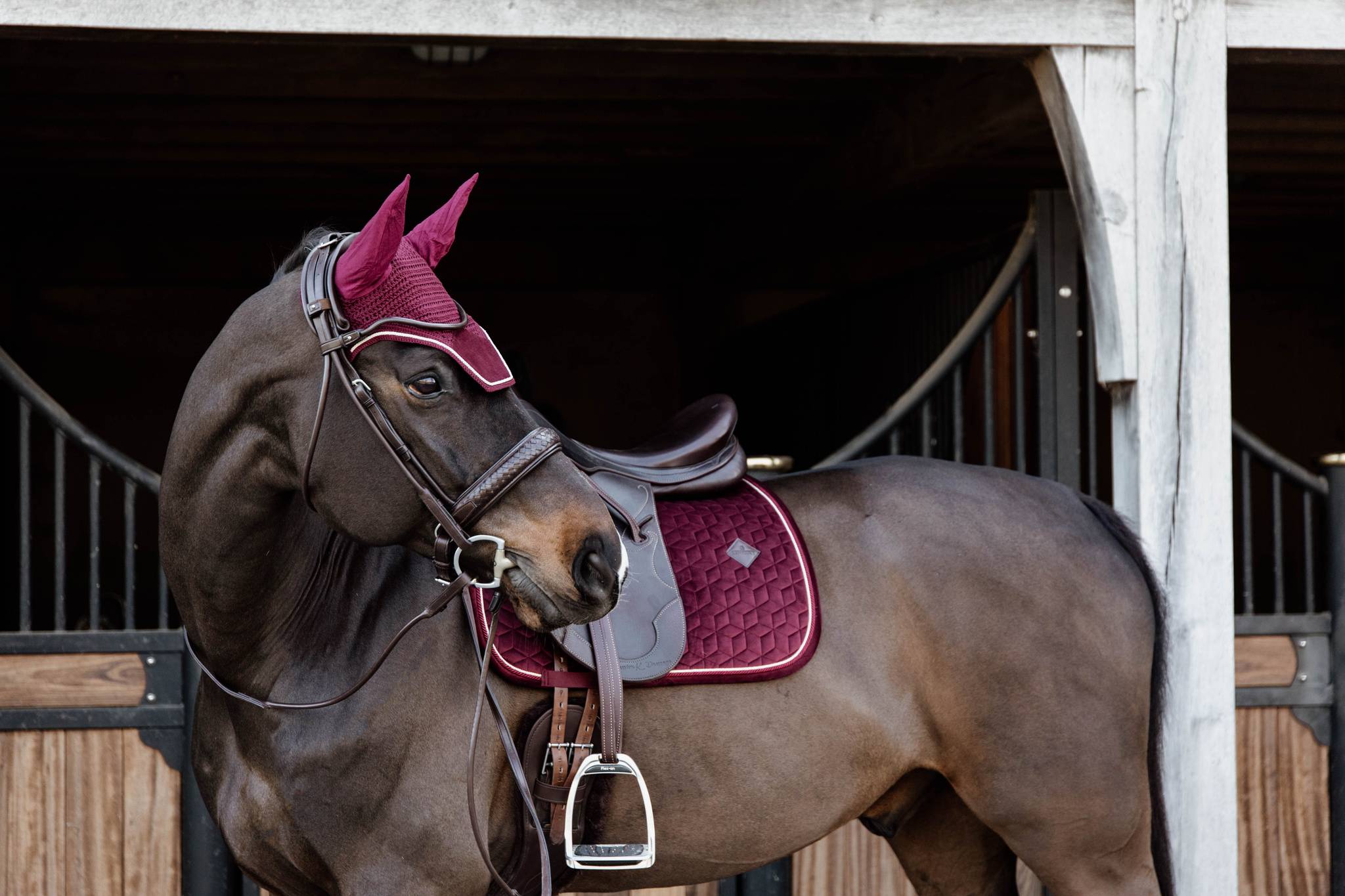 Burgundy Velvet Rug - Kentucky