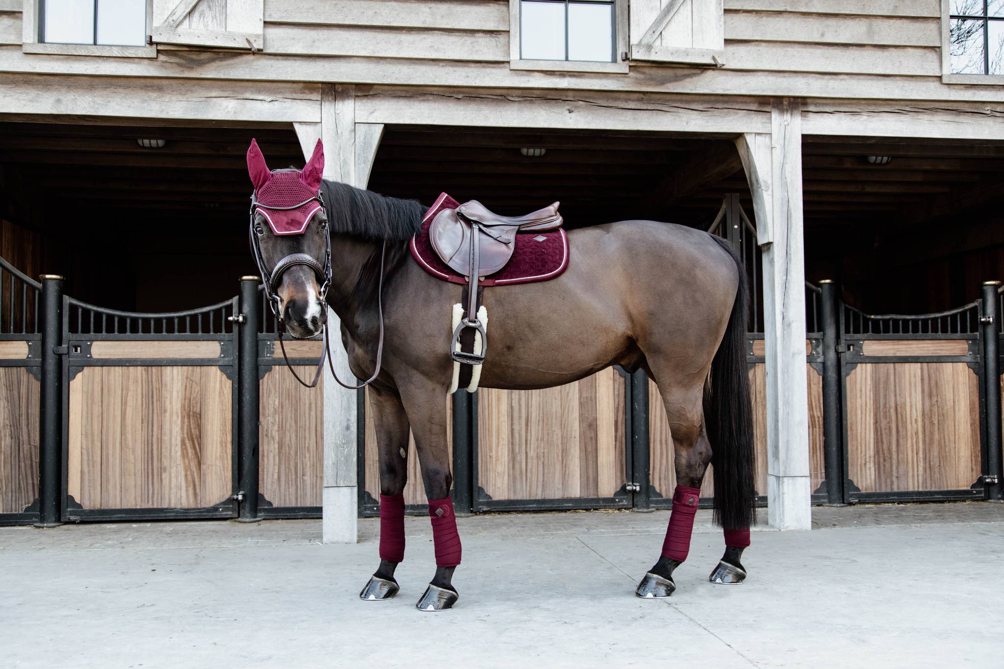 Tapis Velvet Bordeaux MIXTE - Kentucky