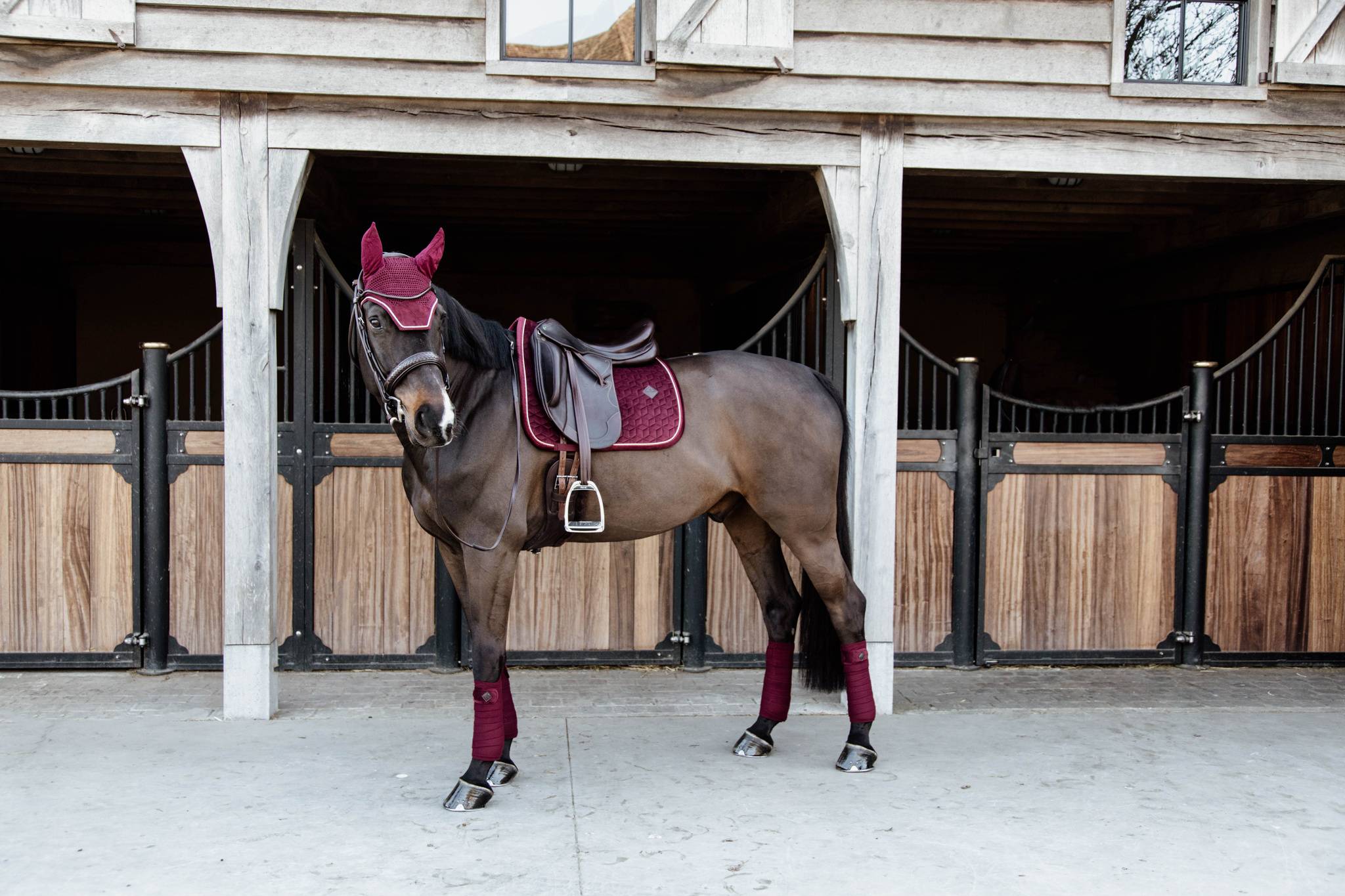 Burgundy Velvet Rug - Kentucky