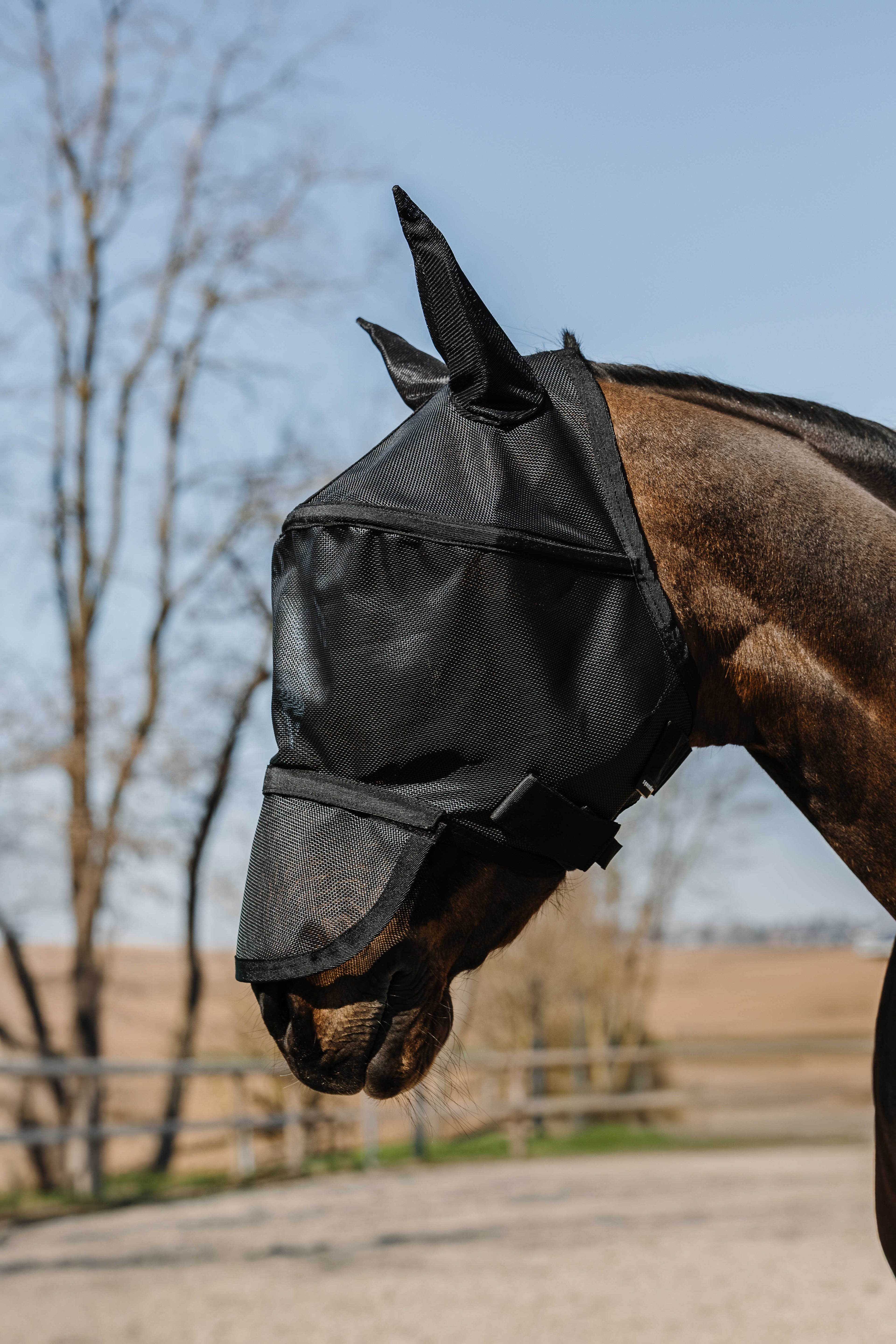 Protec fly mask - EQUITHÈME