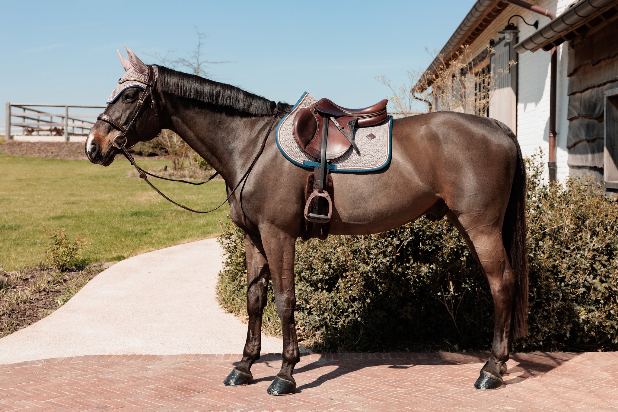 Tapis de selle Pied de Poule bordeaux MIXTE - Kentucky