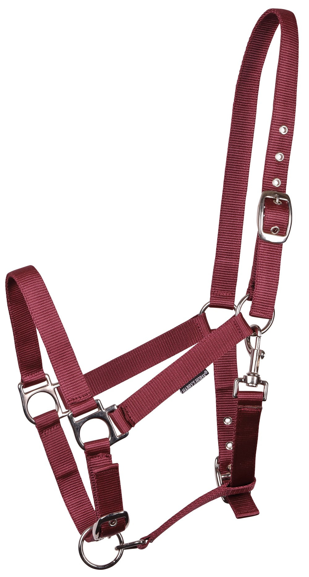 Licol en nylon reglable x3- Harry&