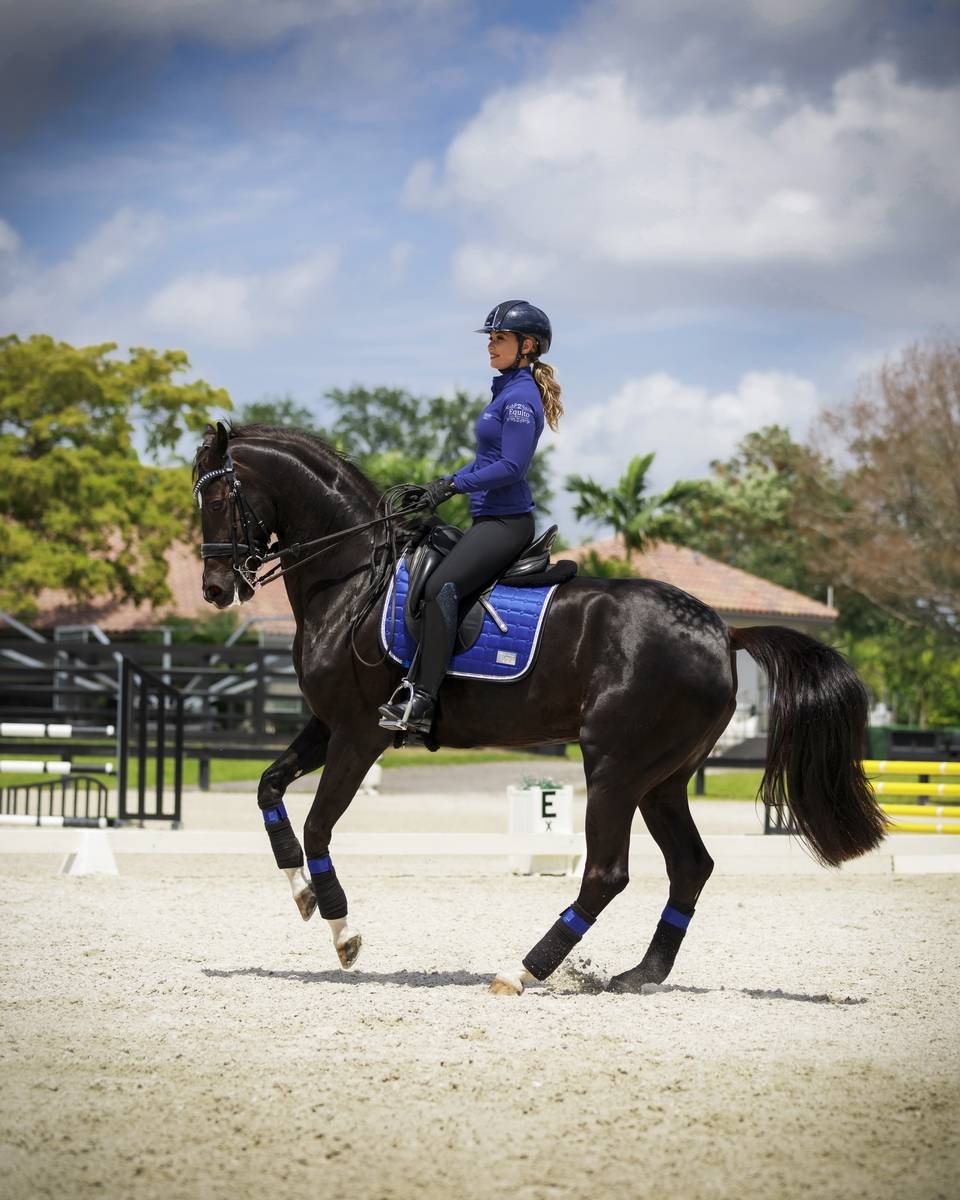 Tapis Royal Blue - Equito