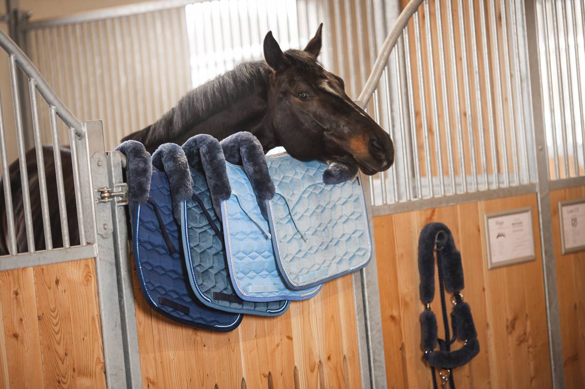 Tapis Eurofit Satiné Edition Limitée 2022 Blue MOUTON - Mattes