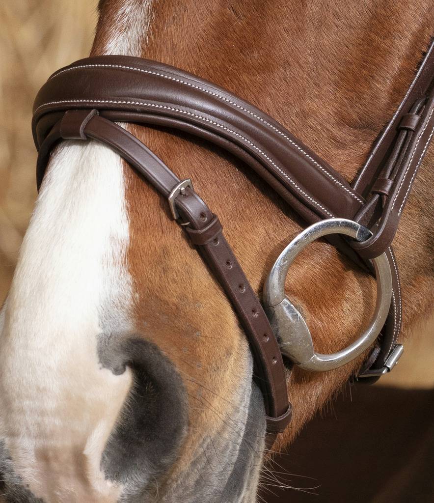 Bridon Brillant - Norton