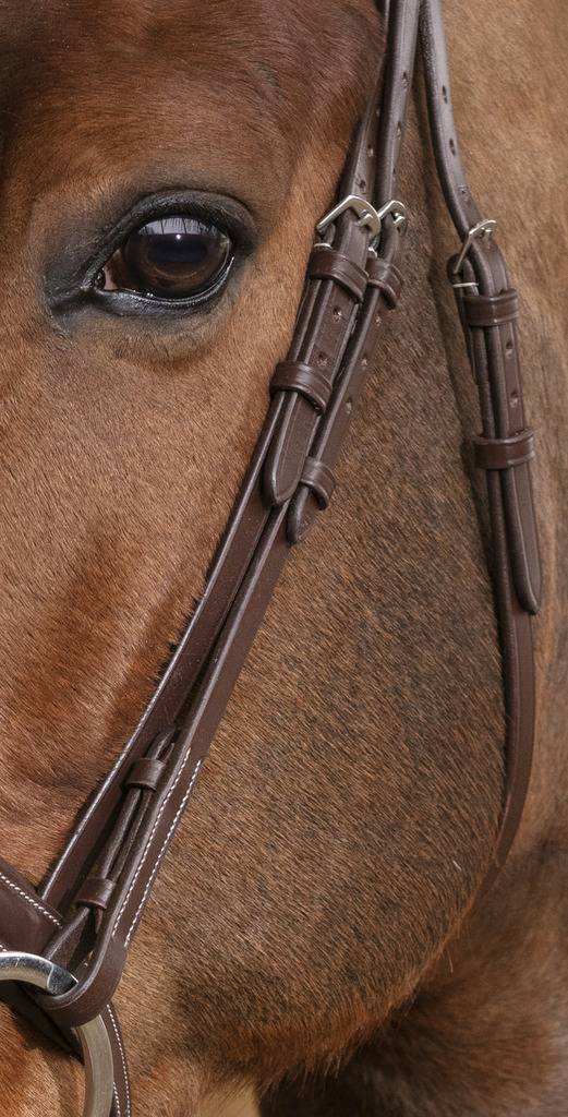 Bridon Brillant - Norton