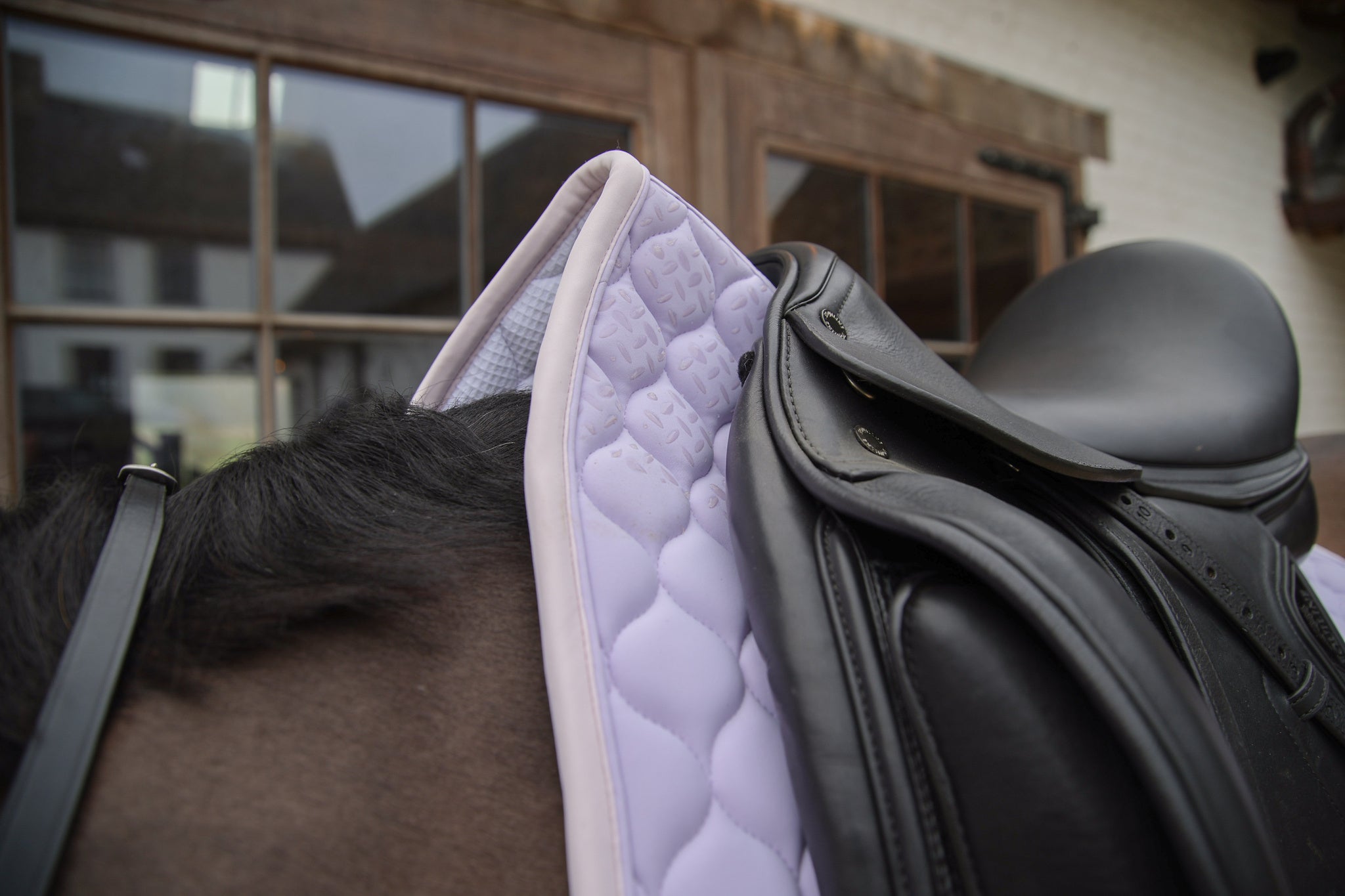 Tapis Softshell Onion Quilt DRESSAGE - Kentucky