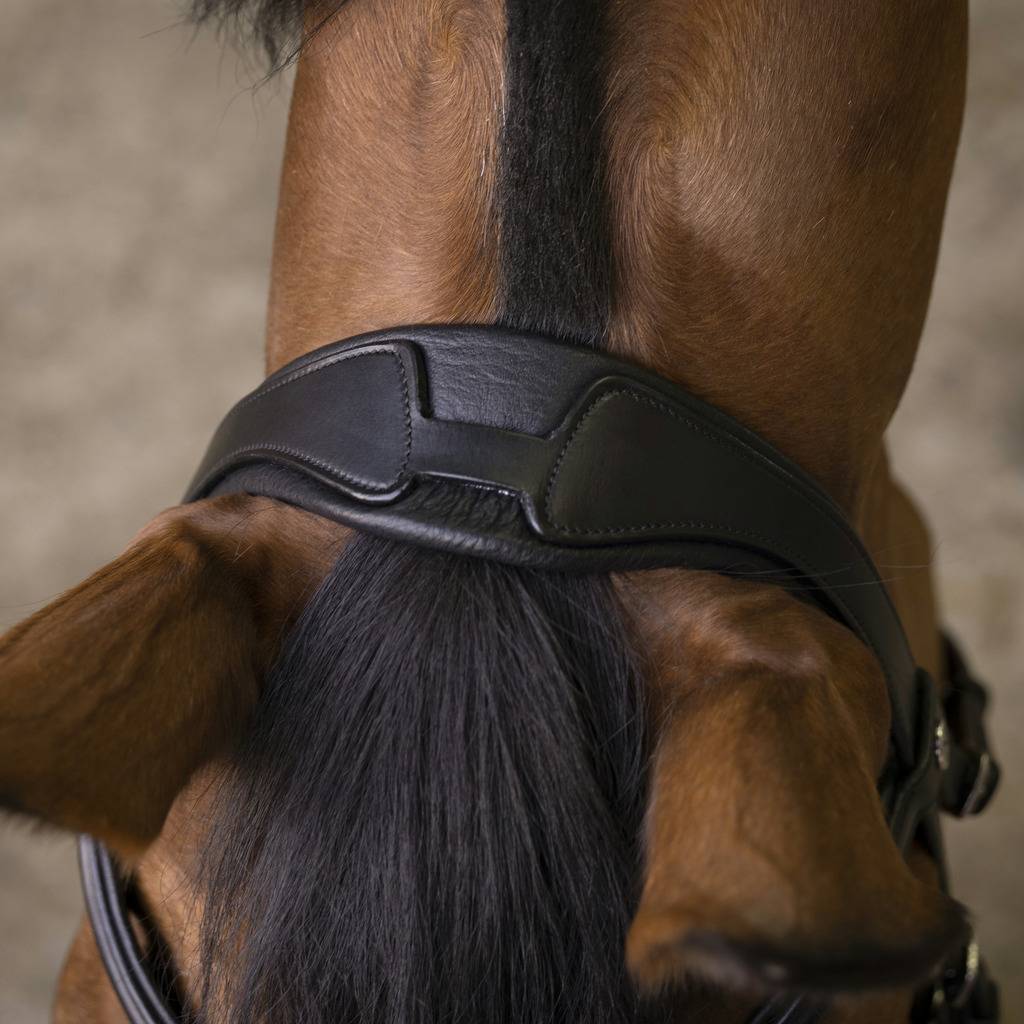 Rock bridle - Norton
