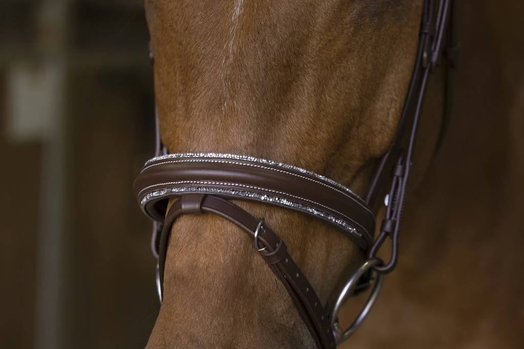 Rock bridle - Norton