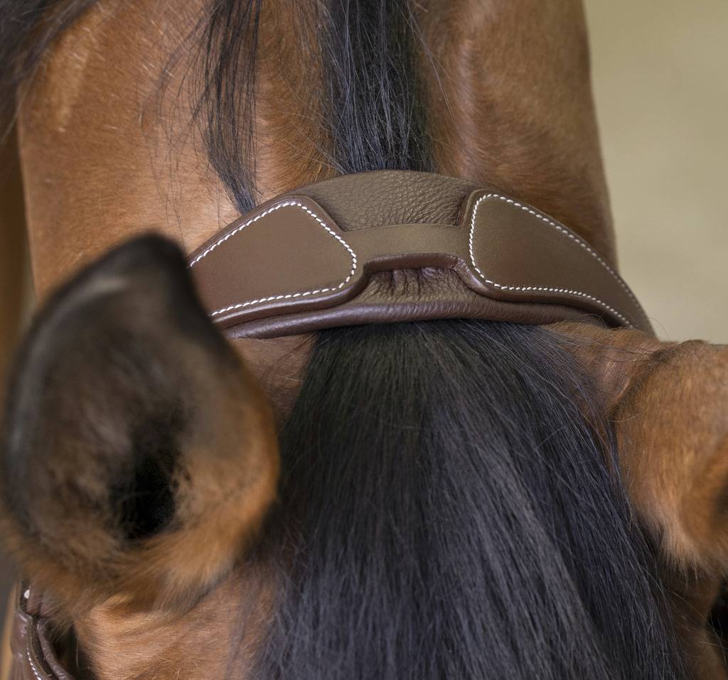 Rock bridle - Norton