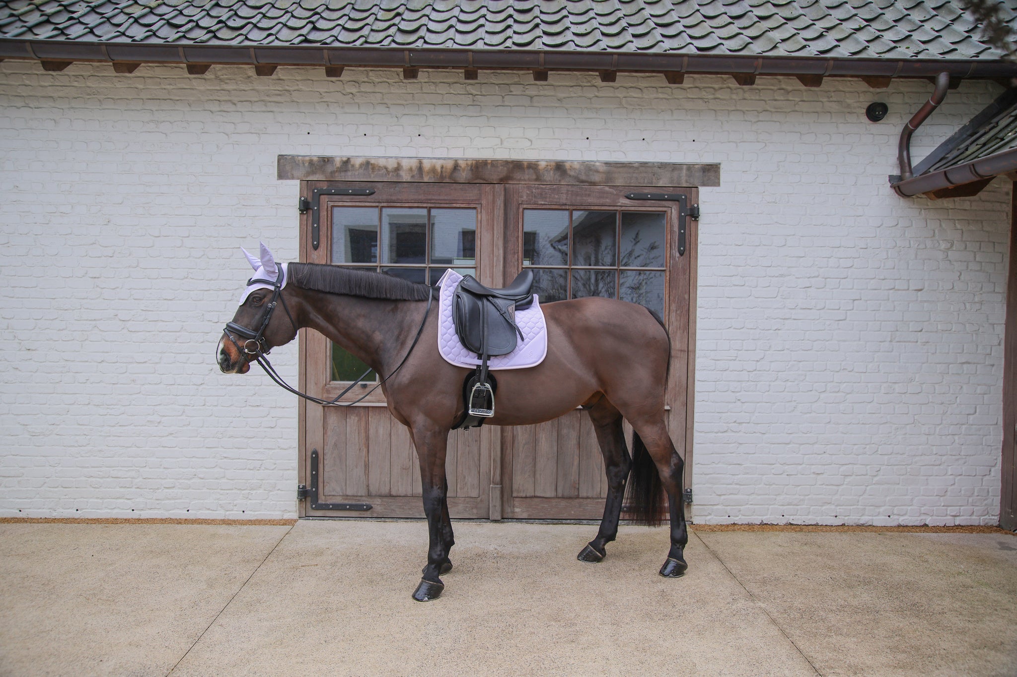 Tapis Softshell Onion Quilt DRESSAGE - Kentucky