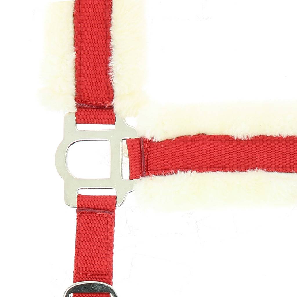 Licol confort - Norton