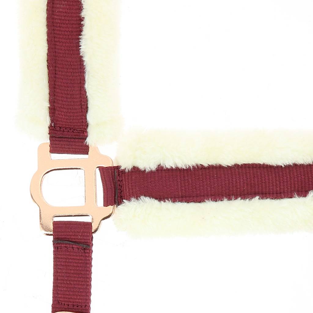 Licol confort - Norton