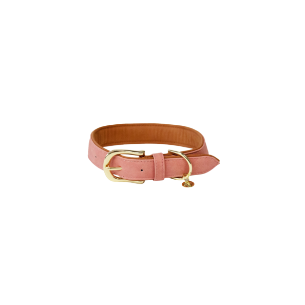 Collier pour chien Vegan Leather - Kentucky