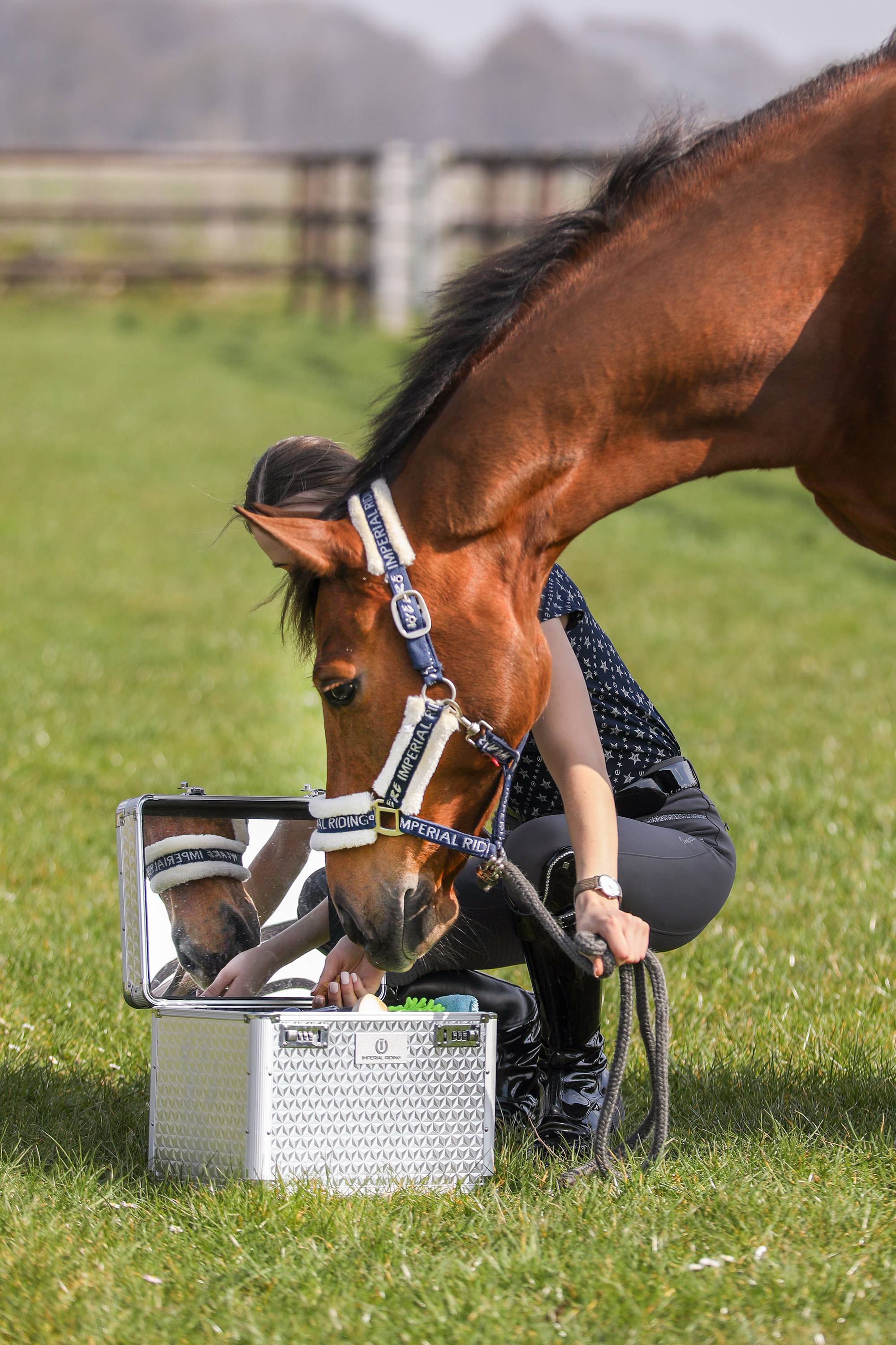 Boite de pansage Grooming box Shiny - Imperial Riding