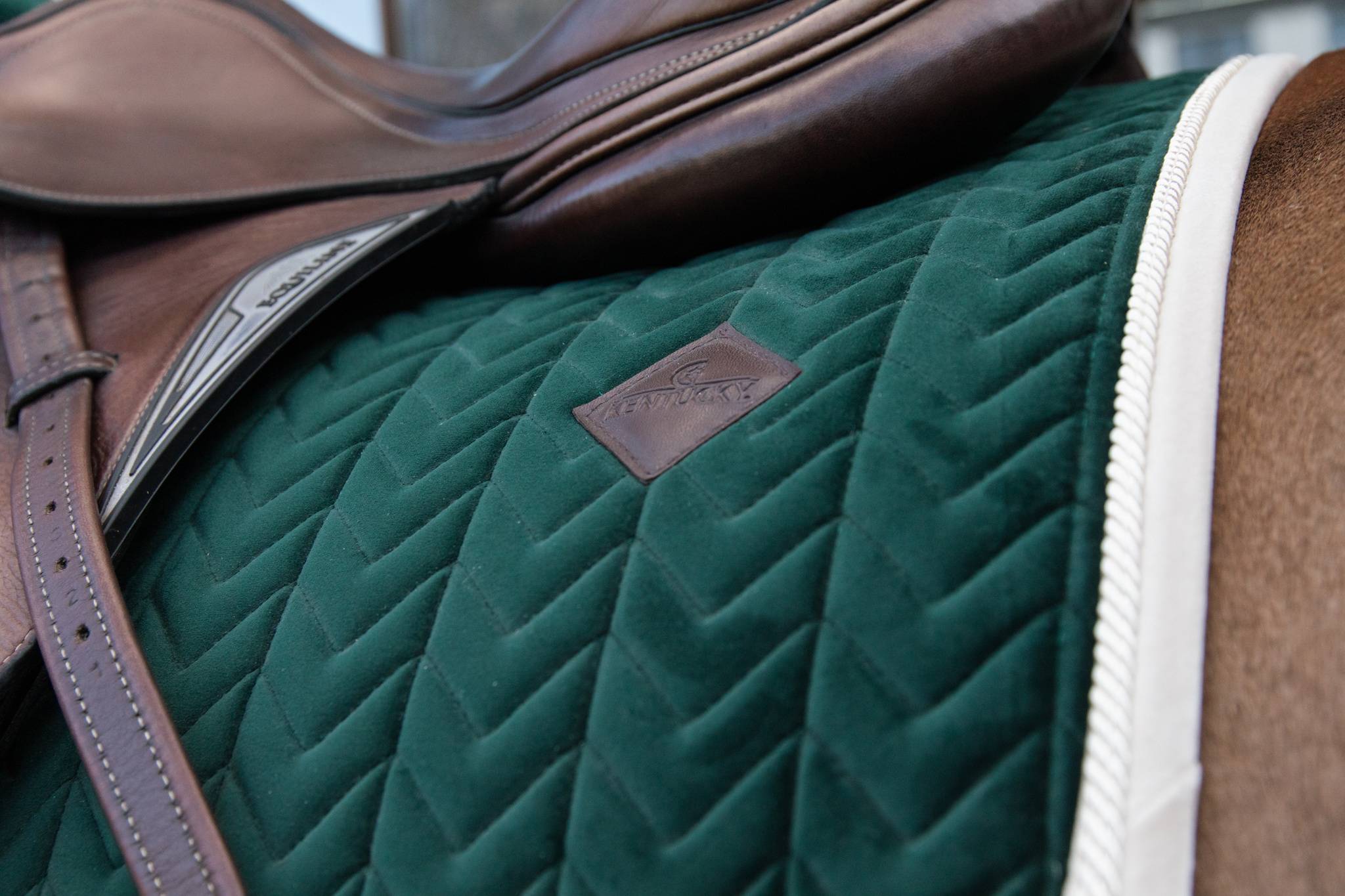 Tapis Velvet Contrast Mixte - Kentucky