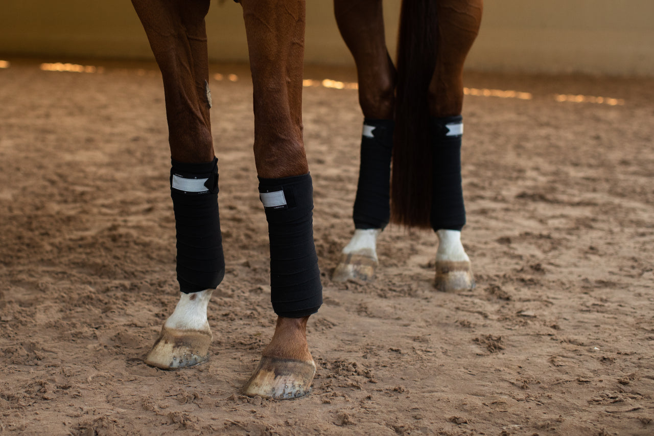 Bandes de polo Luminous Black - Equestrian Stockholm