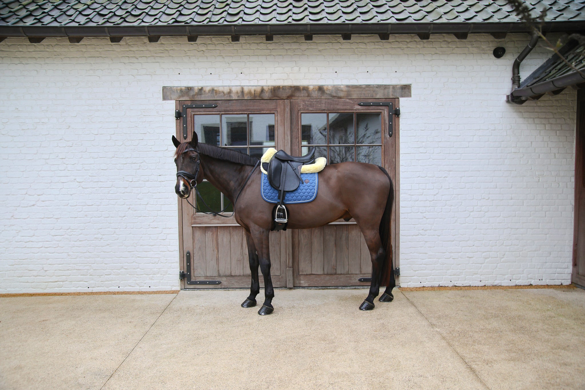 Tapis de selle Melange DRESSAGE - Kentucky