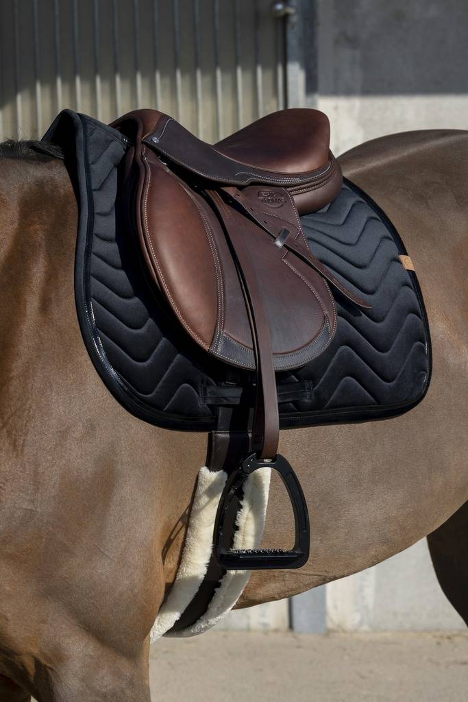 Glossy Carpet - Equithème