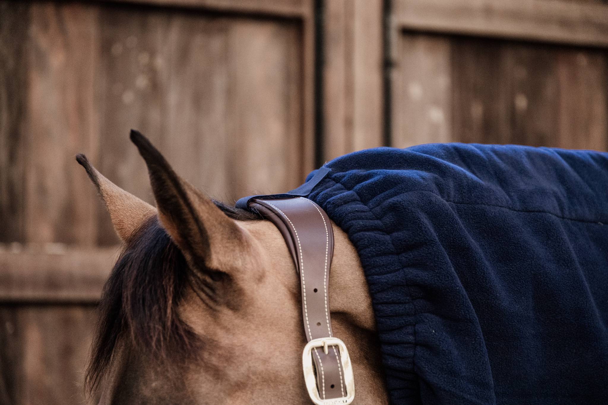 Heavy Fleece Scarf - Kentucky
