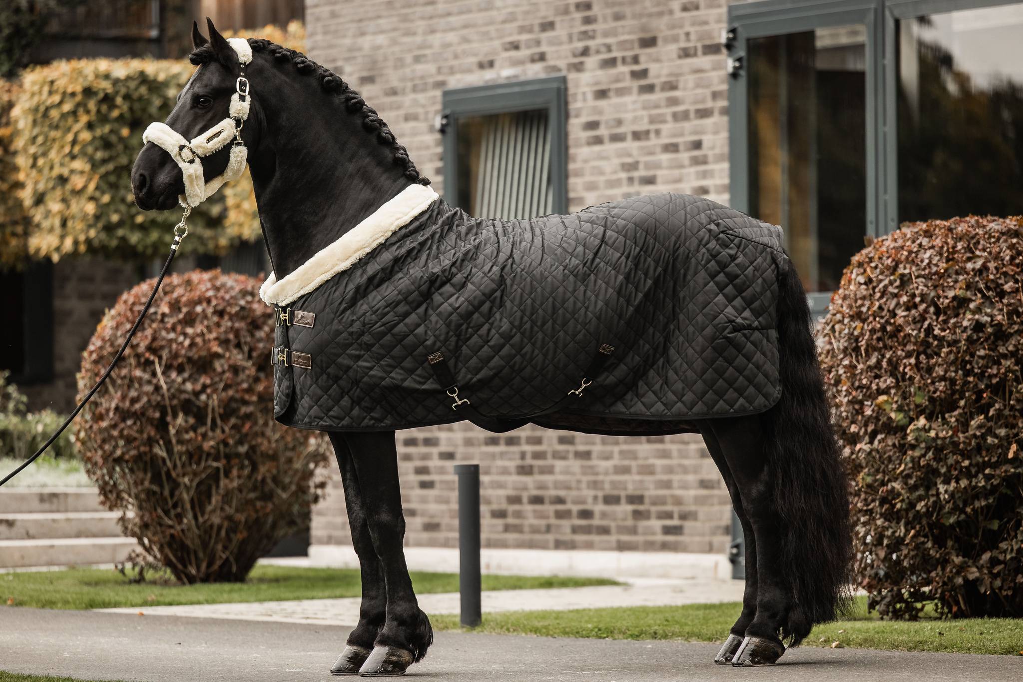 Couverture de présentation 160g TINY - Kentucky