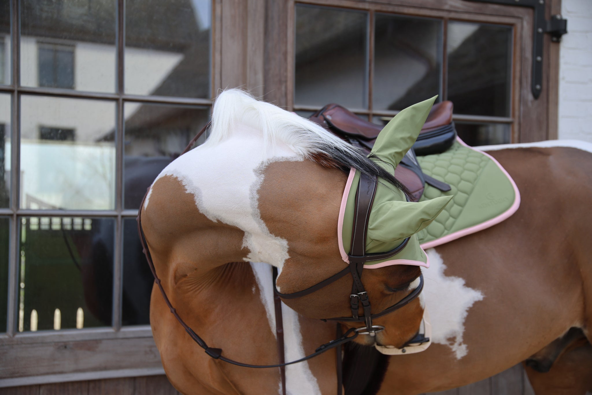 Tapis de selle Softshell Onion Quilt MIXTE - Kentucky