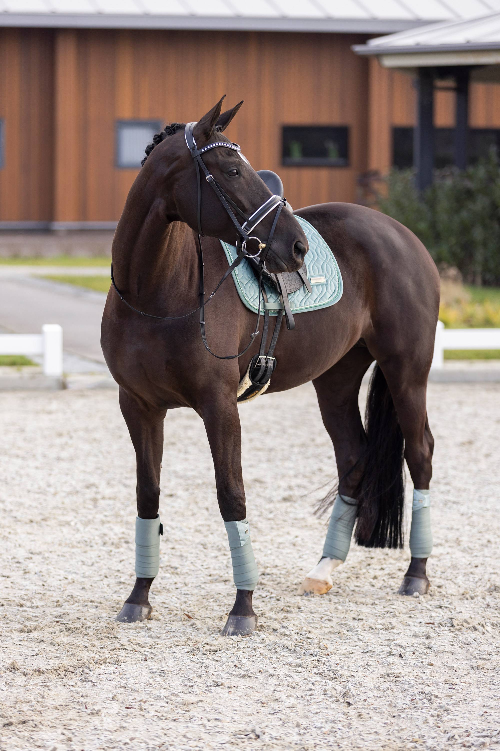 Tapis velours Sky - Imperial Riding