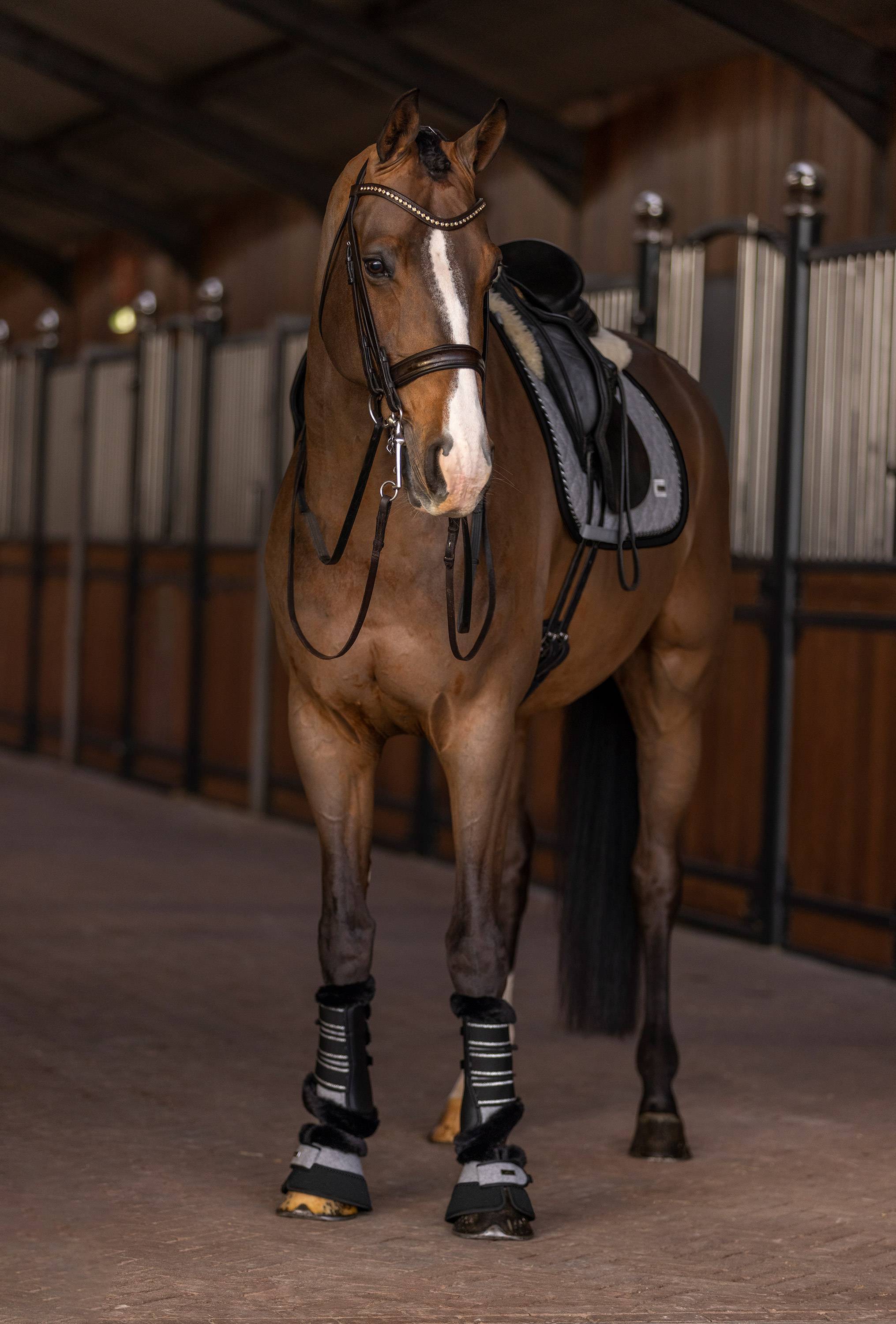 Tapis de selle Francis - HV Polo