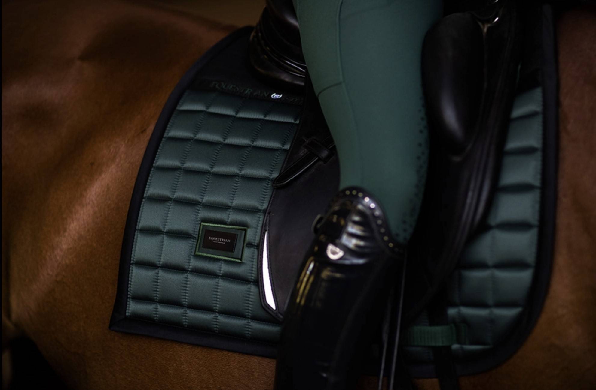 Sportive Sycamore Green saddle pad - Equestrian Stockholm