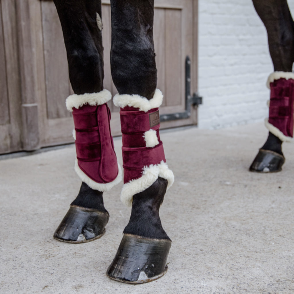 Velvet Contrast Gaiters - Kentucky