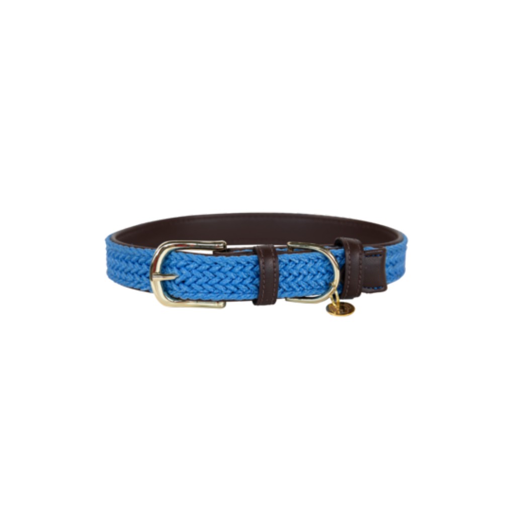 Collier pour chien en Nylon tressé - Kentucky