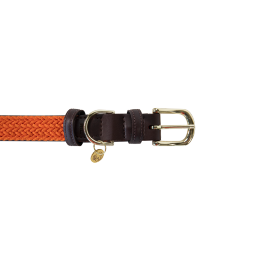 Collier pour chien en Nylon tressé - Kentucky