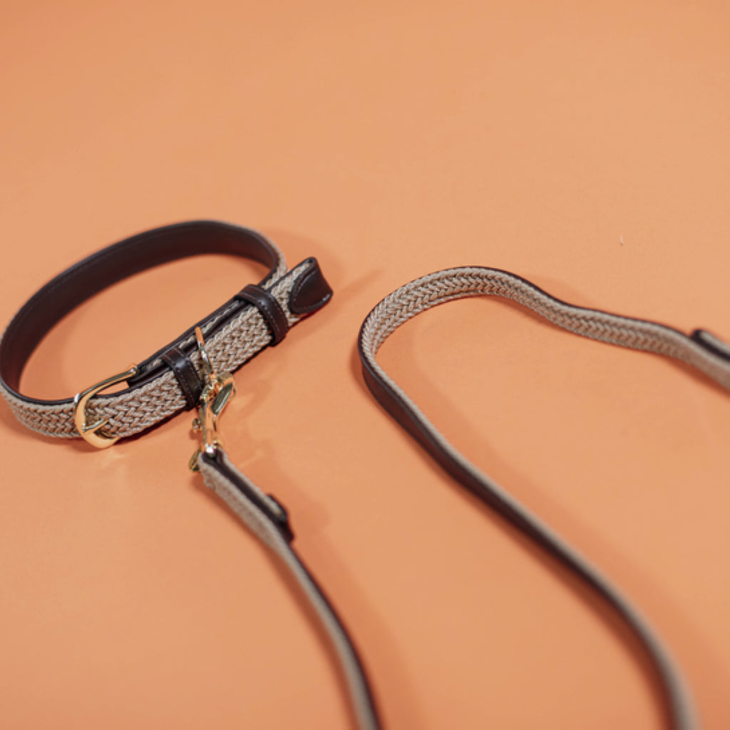 Laisse pour chien en Nylon tressée - Kentucky