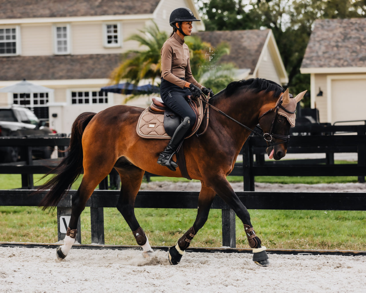 Tapis de selle Champagne MIXTE - Equestrian Stockholm