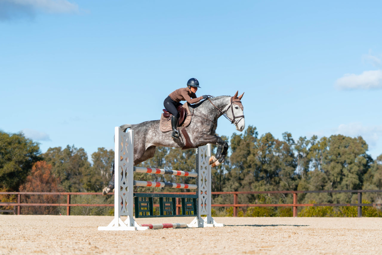 Tapis de selle Champagne MIXTE - Equestrian Stockholm