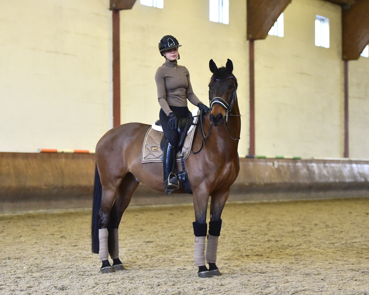 Tapis de selle Champagne DRESSAGE - Equestrian Stockholm
