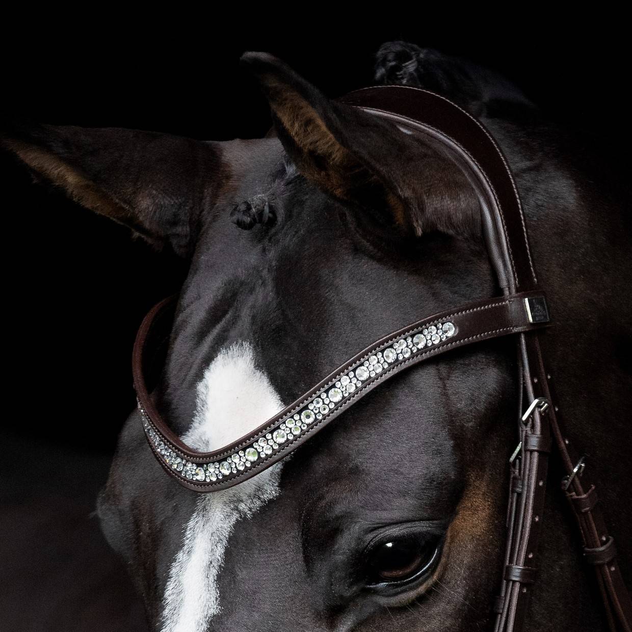 Danciero Bridle - SD Design