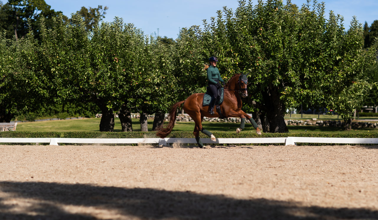 Tapis de selle Sycamore Green DRESSAGE - Equestrian Stockholm