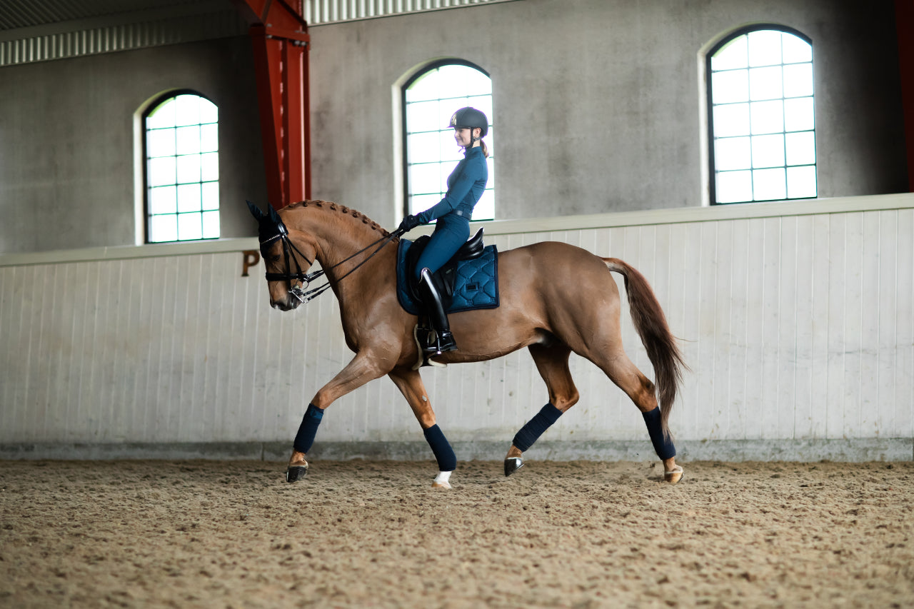 Tapis Glimmer Blue Meadow DRESSAGE - Equestrian Stockholm