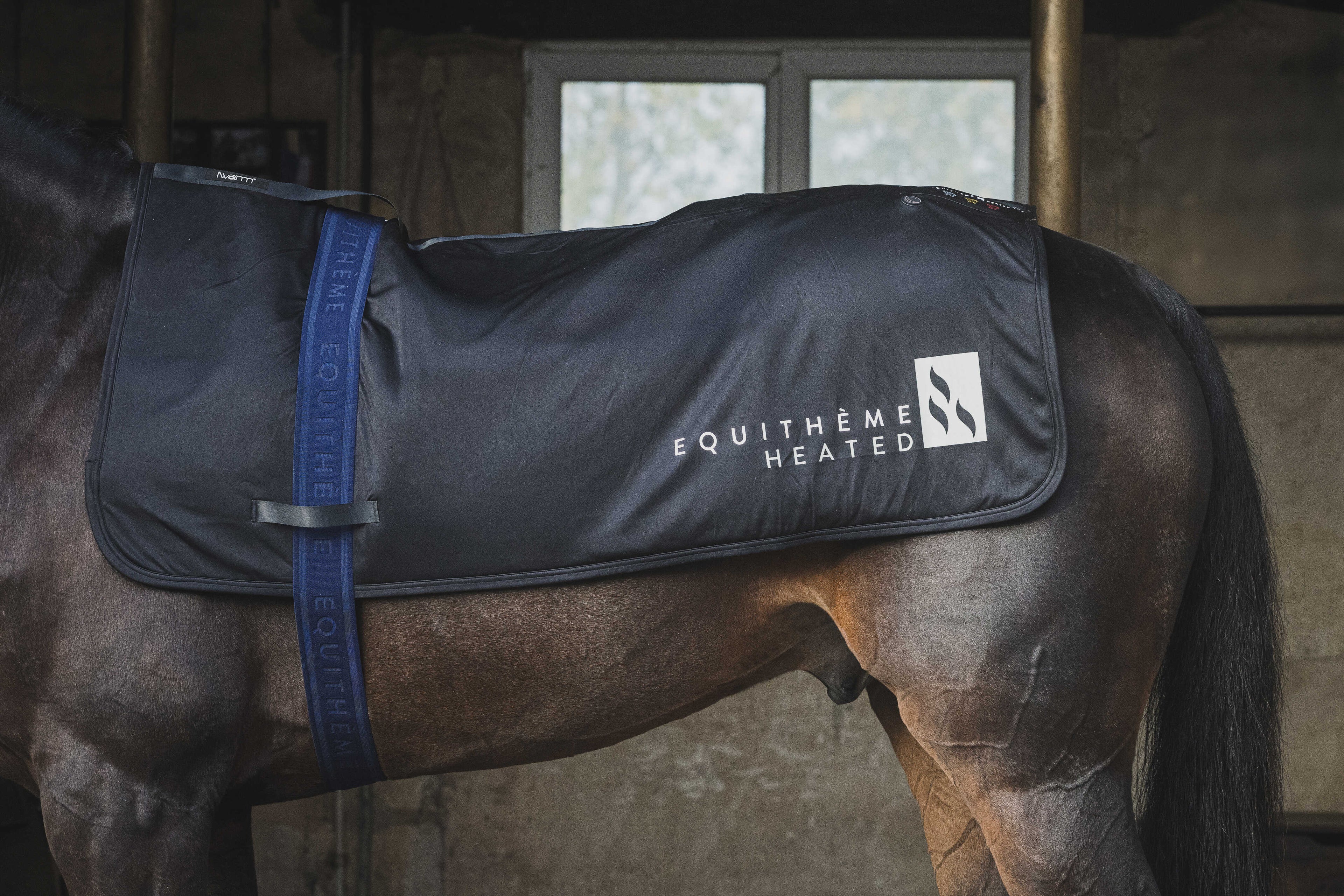 Sursangles Jacquard - Equitheme