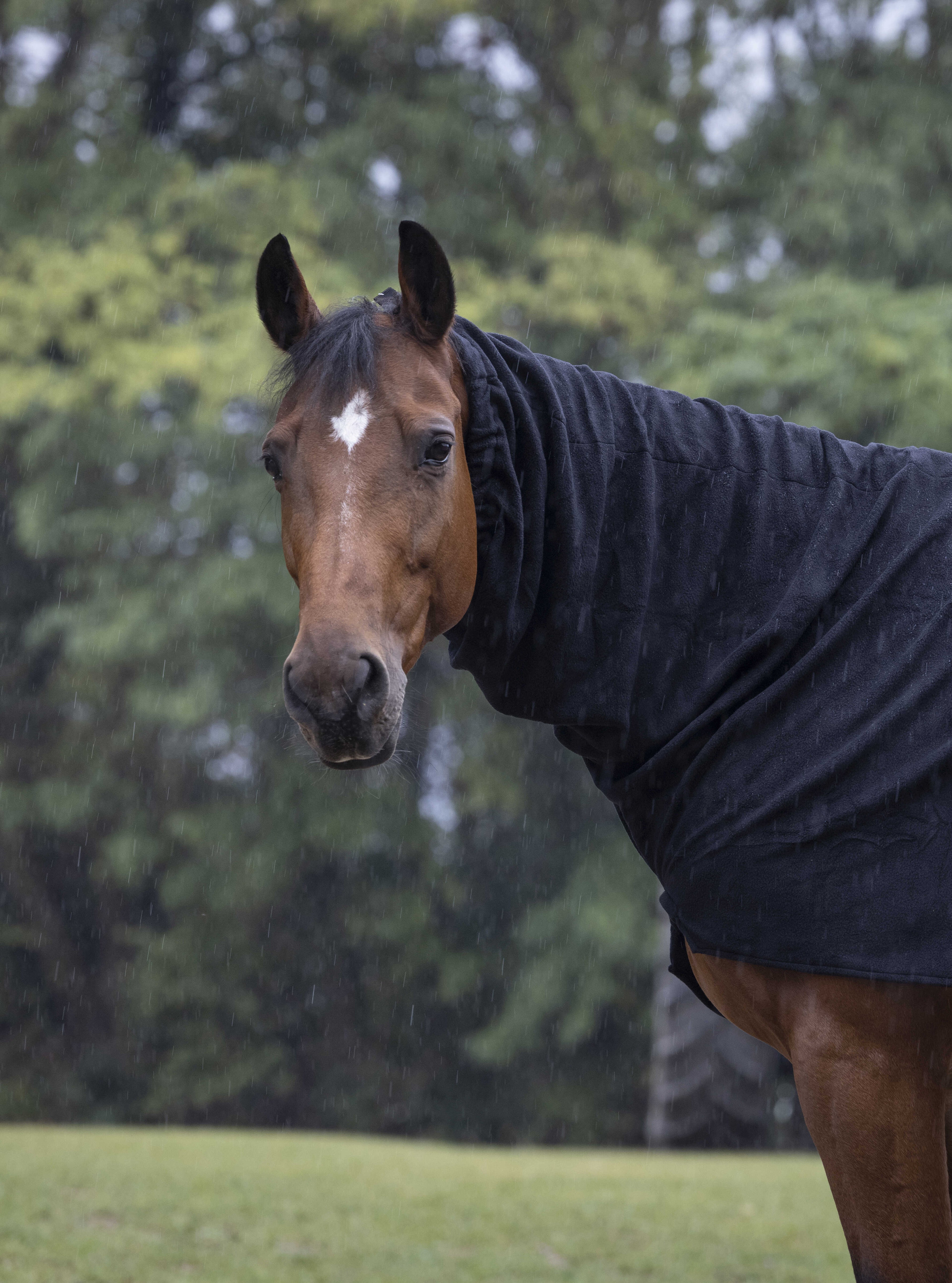 Couvre-cou polaire - EQUITHEME