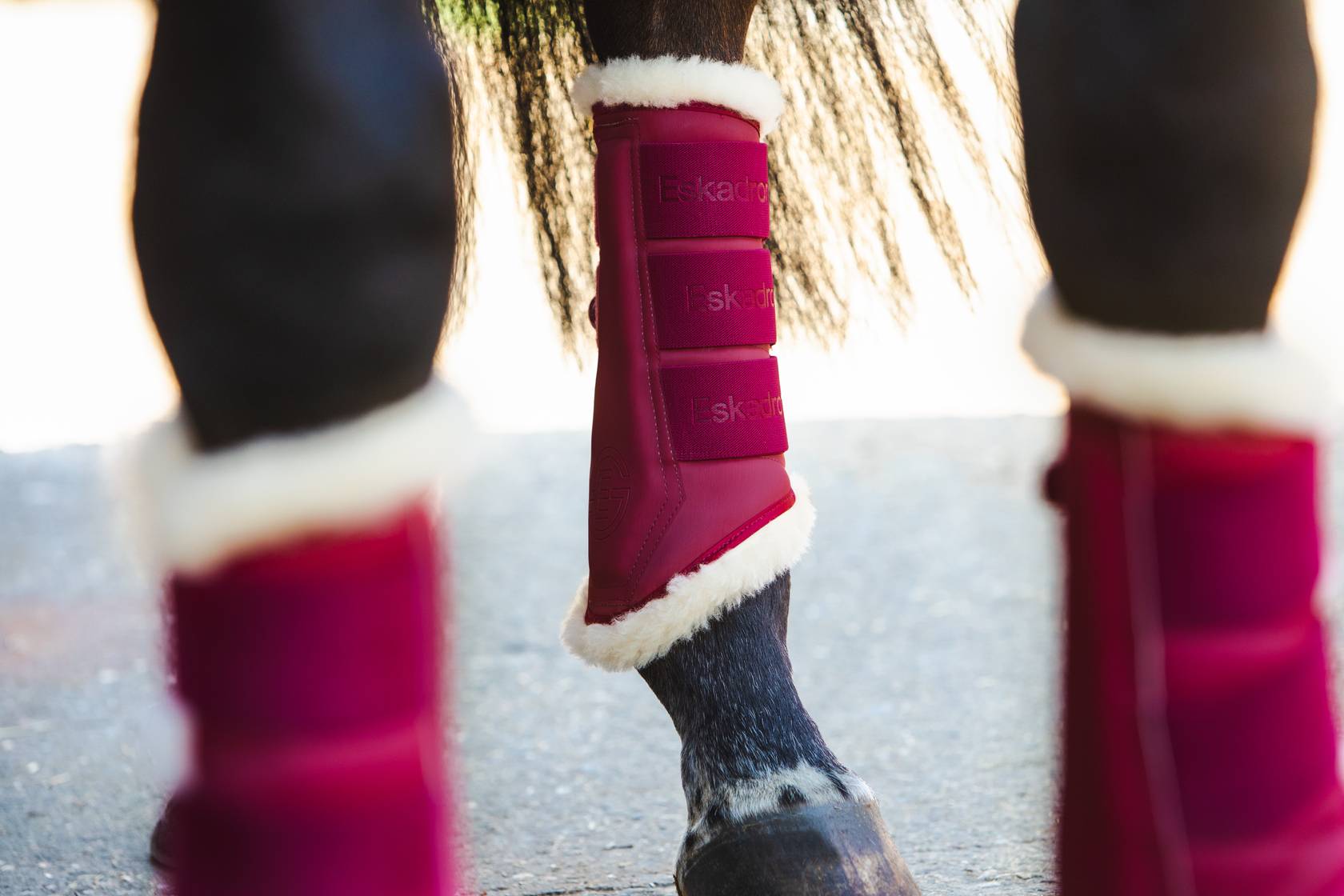 Guêtres Softslate Evo-Wool REFLEXX 2023 - Eskadron