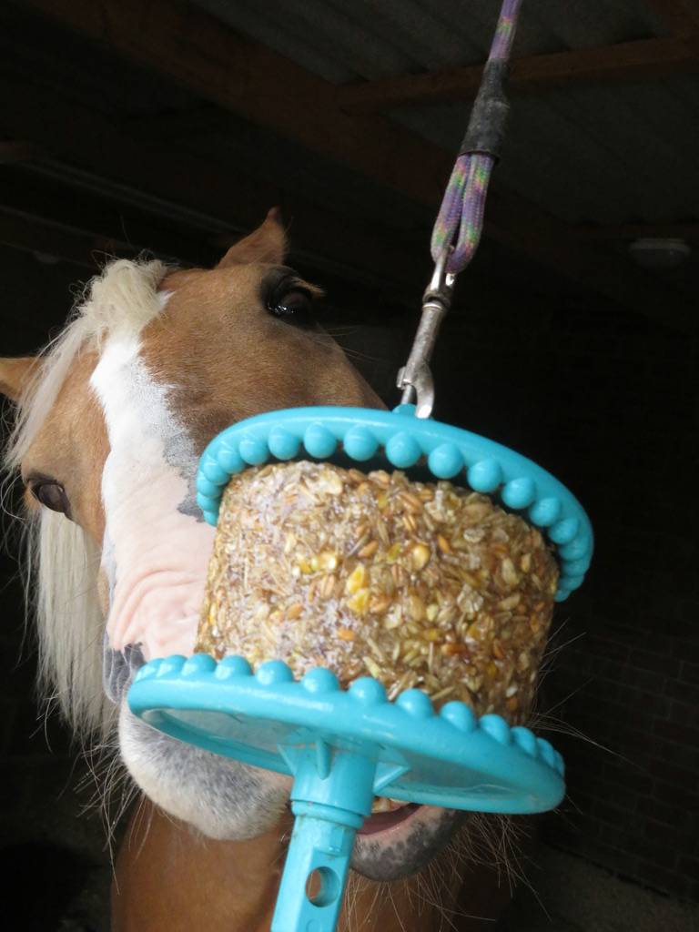 GRANOLA licking block - LIKIT
