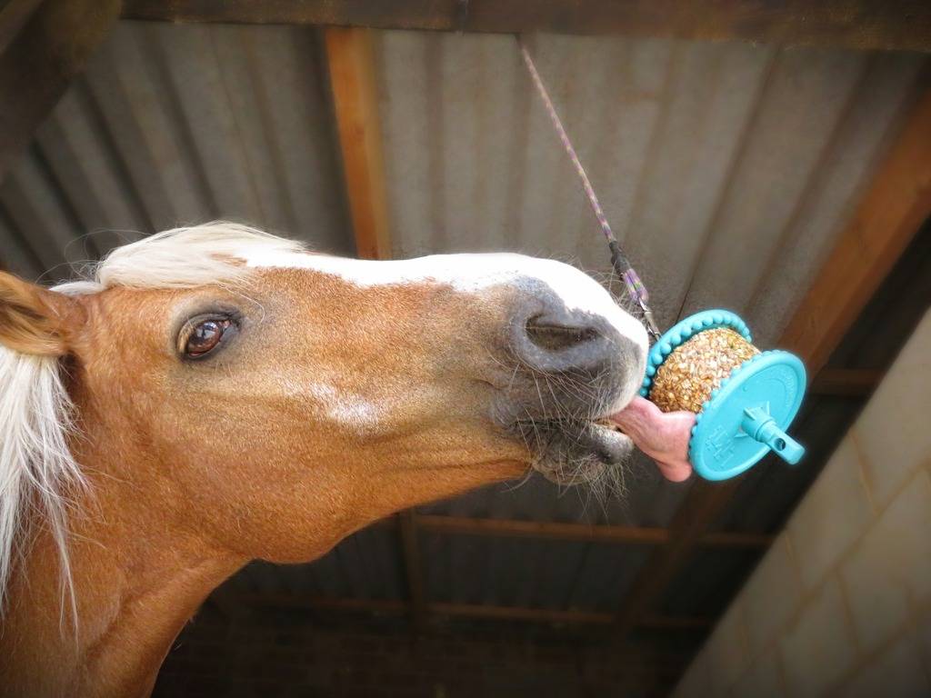 GRANOLA licking block - LIKIT
