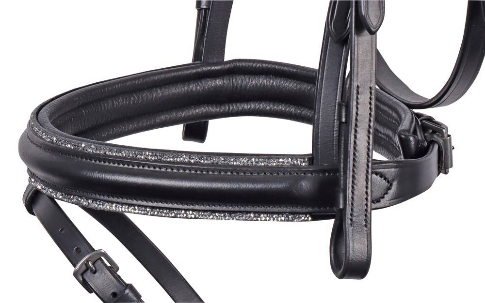 Sparkle Bridle - Harry&