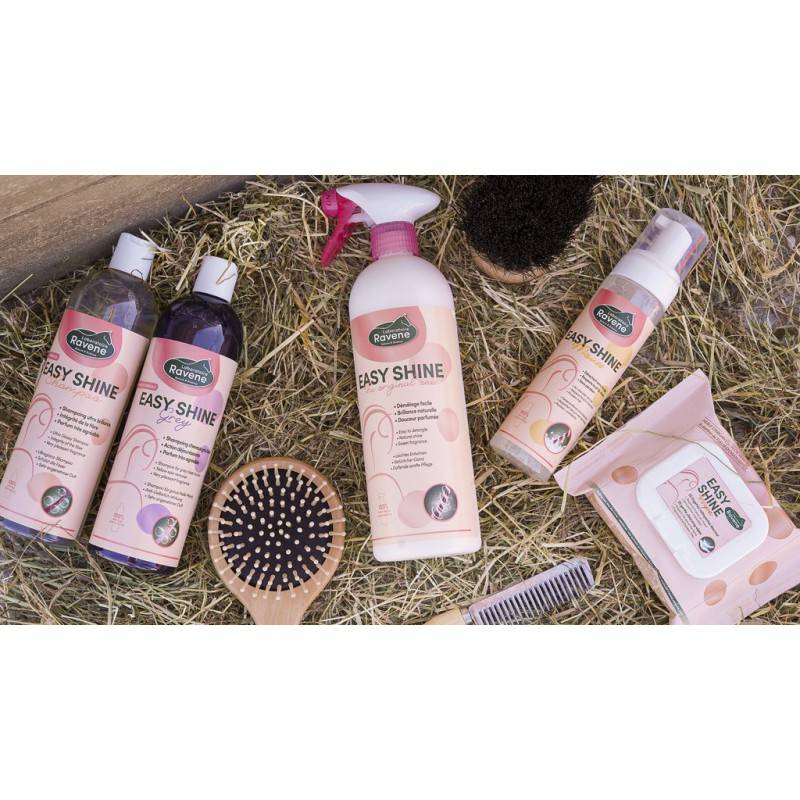 Shampoing Easy Shine Grey - Laboratoire Ravene